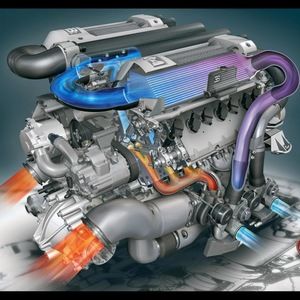 Meet your Posher, Fifi